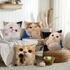 Funny Cat Cartoon Cute Pillow Case Suitable For Bedrooms Living Rooms Cars Home Decoration