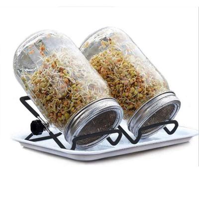 Conjunto de jarra de germinação Prout Jar Conjunto de germinador Jarra de broto