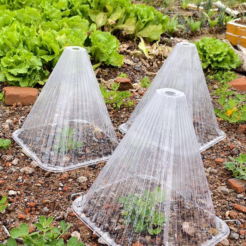 10/20pcs Conical Plant Insulation Cover Seeding Nursery Cover Anti Birds Windproof Shade Cover Greenhouse Seeding Cover