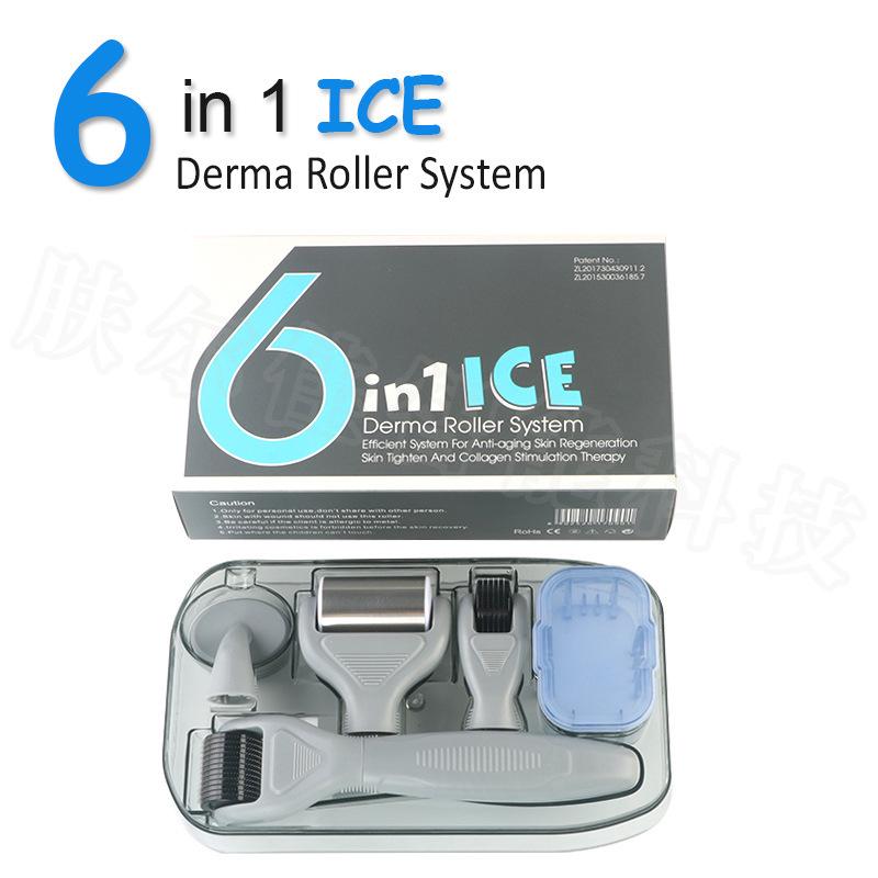 DRS 4-in-1 Microneedle Roller Set: Multifunctional Facial Care and Beauty Tool