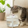 USB Powered Cat Water Fountain Electric Pet Drinking Fountain Cat Drink Bowl For Cat Dog