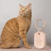 Pet Cremation Jewelry for Ashes Pet Urns Keychain with Paws Print for Dog Cats Ashes Animal Lover Keepsakes Gift