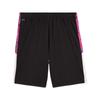Puma Drycell Premier League Brilliance Series Comfortable Versatile Skin-Friendly Simple Football Shorts Men Shorts 660372-01