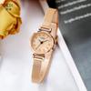 Versatile Stainless Steel Mesh Belt Light Luxury Diamond-Encrusted Student Exquisite Waterproof Quartz Watch