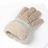 Women Warm Thickened Gloves for Bike Ridings Hiking Ski Gloves Winter Skiing Thermals Gloves Touchscreens Winter Glove
