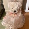 [USED] White Teddy Bear with Dress HPM-0160