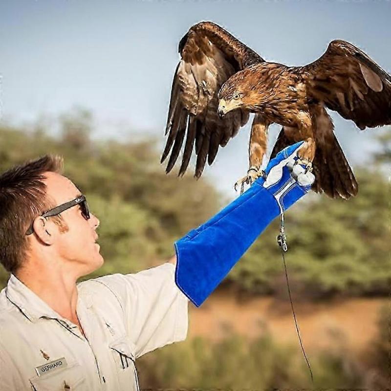 Anti Bite Animal Handling Gloves Protective Gloves Extra Long Scratch Resistant Bite Resistant Gloves for Cat Reptile Animal