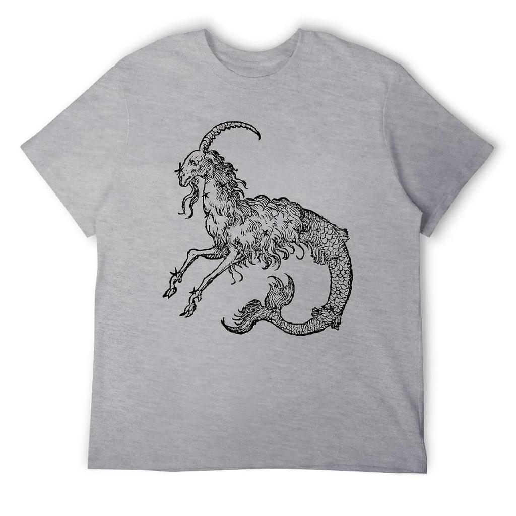 Capricorn Twelve Constellation (4) T-shirt Harajuku Move Tshirt Vintage Home Funny Novelty USA Size
