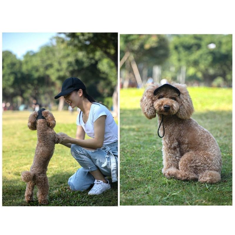 Cappellino Stiloso per Cane 4 Misure Disponibili Design Traspirante Cappellino Parasole per Animali Domestici Ideale per Passeggiate Quotidiane e Giochi Spiaggia
