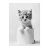 Room Murals Wall Art Poster Otter Cat Tiger Canvas Painting Funny Bathroom Home Decor Cute Animals Toilet Paper Living