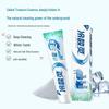 Leng Suan Ling Well Salt Refreshing White Toothpaste
