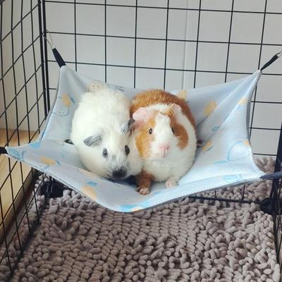 Andningsbar MarsvinsHängmatta Isilke SmådjursTillbehör Härlig HamsterHängmatta