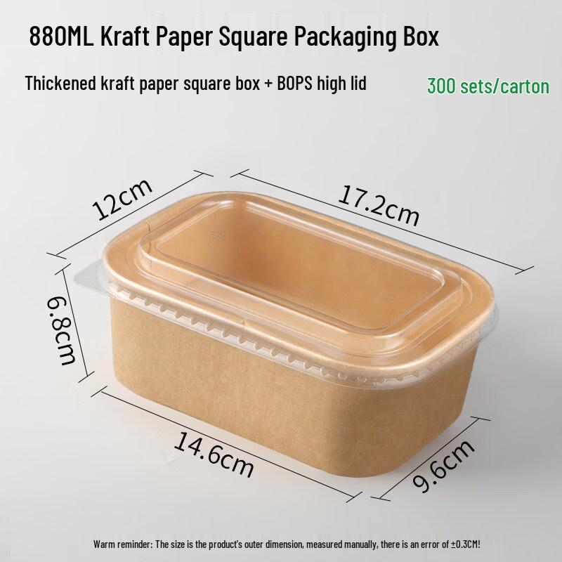 Rectangular Sugarcane Pulp Disposable Food Container