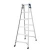 Hasegawa Aluminum Convertible Ladder