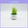 Plastic Succulent Miniature Plant Desert For Home Decor And Office Use