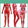 Costume de carnaval pentru femei – Costume anime pentru femei