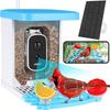 Krmítko pro ptáky s 5MP fotoaparátem Solární krmítko pro kolibřík pro ptáky Smart Identify Bird Species