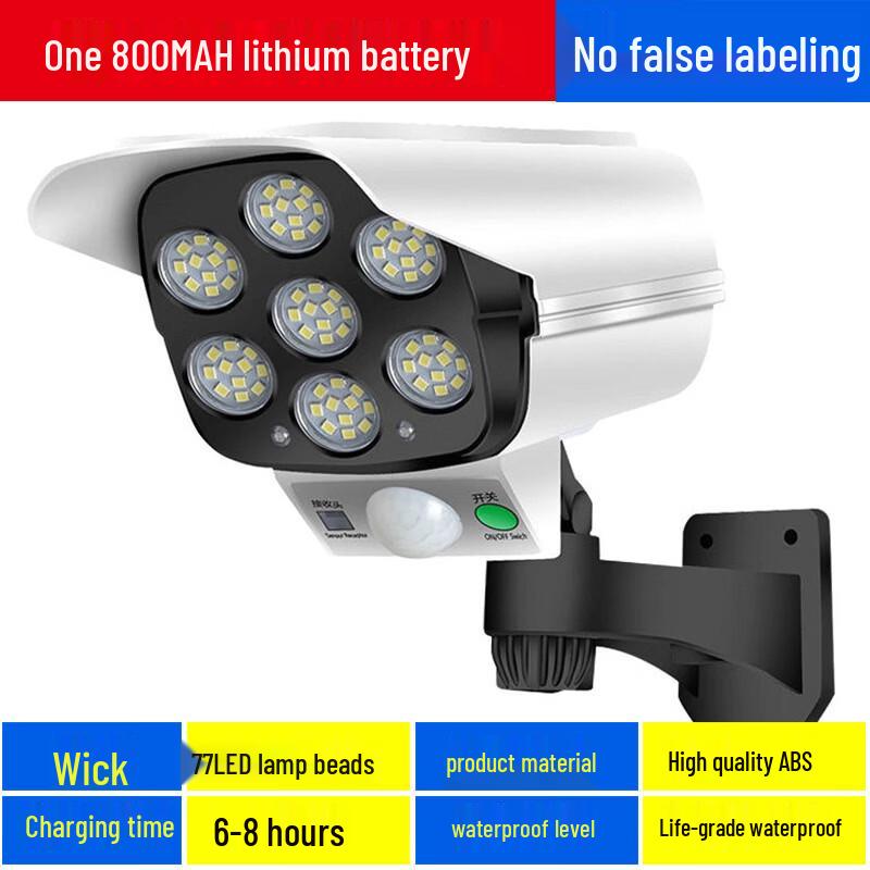 

Solar Garden Light with Remote
