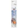 Skater Stainless Steel Children's Spoon Made In Japan Frozen 2 Disney SR1