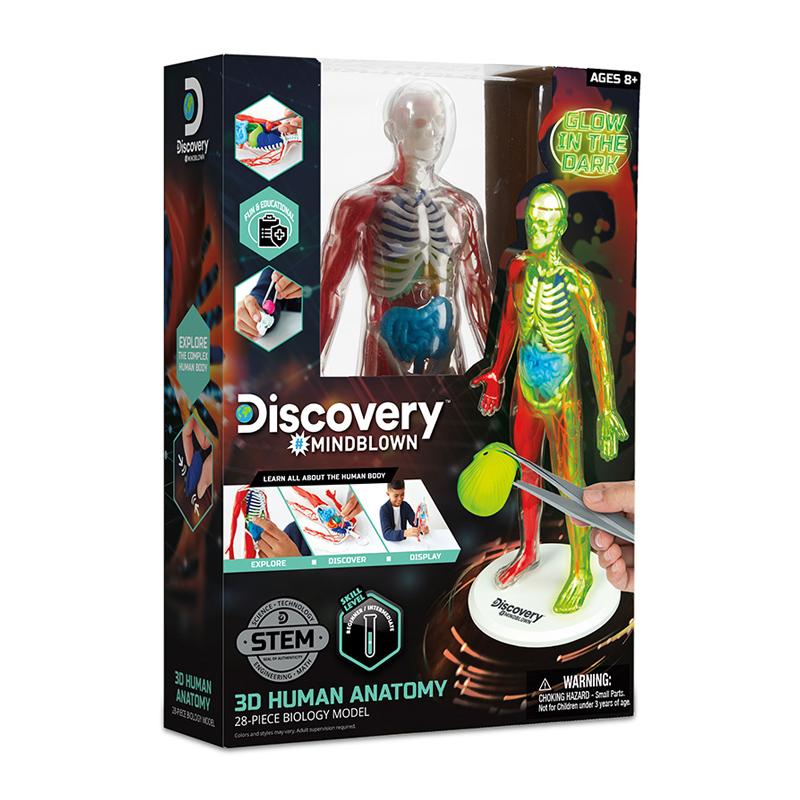 [toytron] Discovery-MB-3D Glow-in-the-Dark Human Anatomy Model Kit