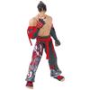 Game Dimensions - Tekken - Jin Kazama Action Figure.