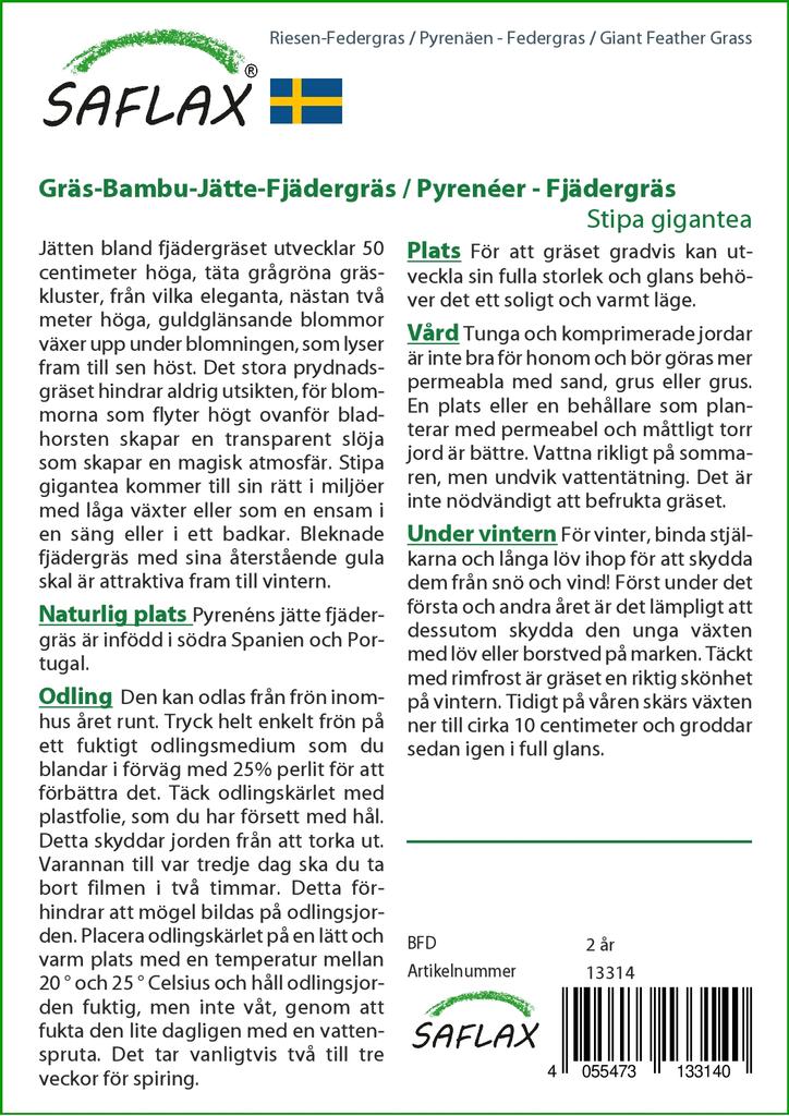 SAFLAX Zahrada v pytli - Obří péřová tráva - 10 semen - Se substrátem v padnoucím sáčku - Stipa gigantea