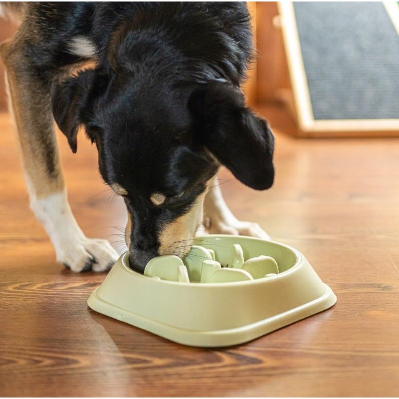 Slow Food Bowl for Dogs and Cats