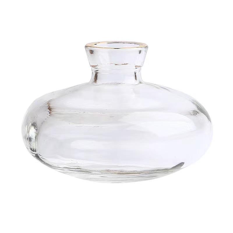 Lux Mini Colored Glass Vase Set for Hydroponic Flowers - Transparent Decorative Ornaments for Living Room