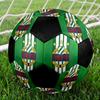 SIZE 5 Rapid Vienna Soccer Ball Colorful All Ages Machine Stitched PVC Competition Ready Durable High-Bounce