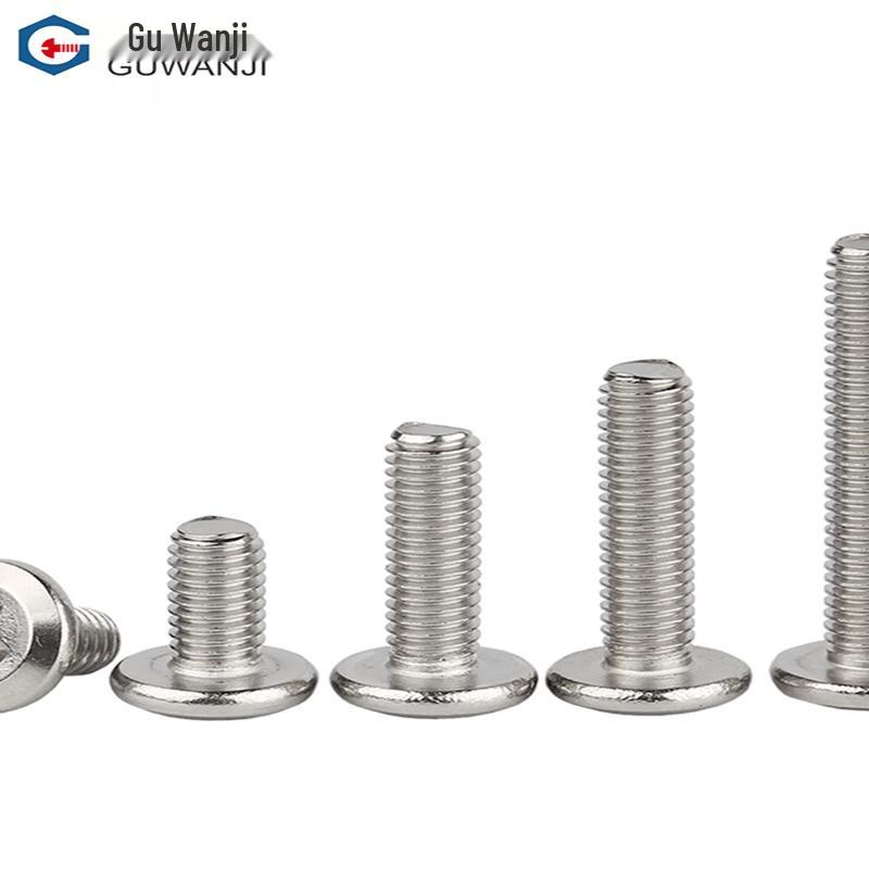 Guwanji 304 SS Phillips Flat Head Furniture Screws