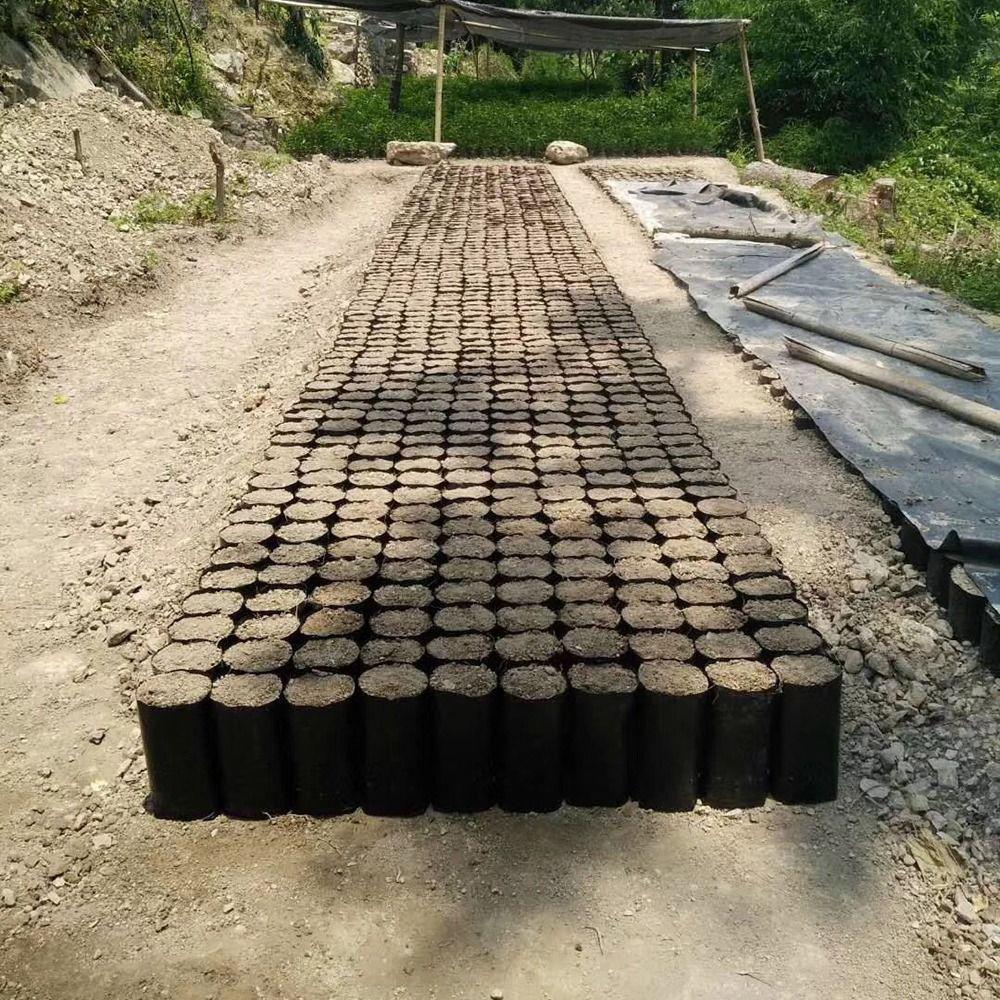 100Pcs PE Plastic Planting Bag Seedling Bag  for Garden Orchard Tree Transplanting