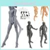 Hoch artikulierte Figma Jugend Version 2.0 PVC Figur mit silbergrauer Haut