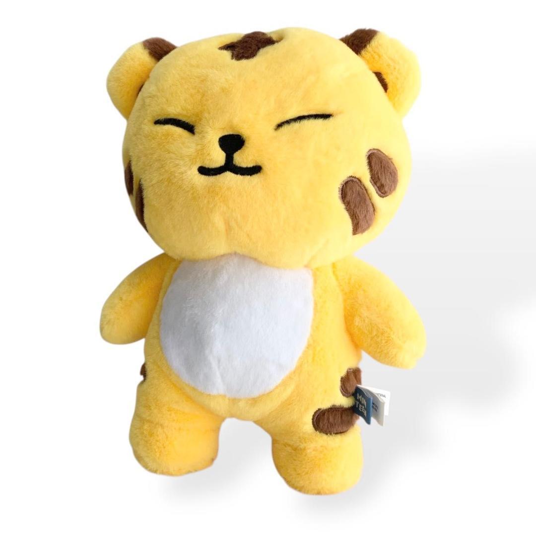 

[USED] SEVENTEEN Star Tamtam Plush Toy Mini Teen