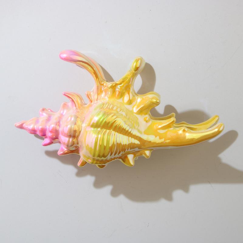 1Pcs Hair Claw Elegant Shark Clip Creative Conch Hairpin Colorful Gift For Summer Beach Headwear Hair Accessories