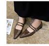 Pointed Toe Women Mary Jane Shoes Fashion Shallow Buckle Shoes Ladies Casaul Dress Low Heel Leather Shoes