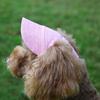Dog Baseball Cap Adjustable Pet Dog Outdoor Hat Sport Sun Protection Visor Sunbonnet Outfit With Ear Holes For Puppy Small Dogs