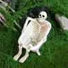 Halloween Decoration Skull Planter Bathtub Resin Crafted Plant Container For Home Office Or Garden