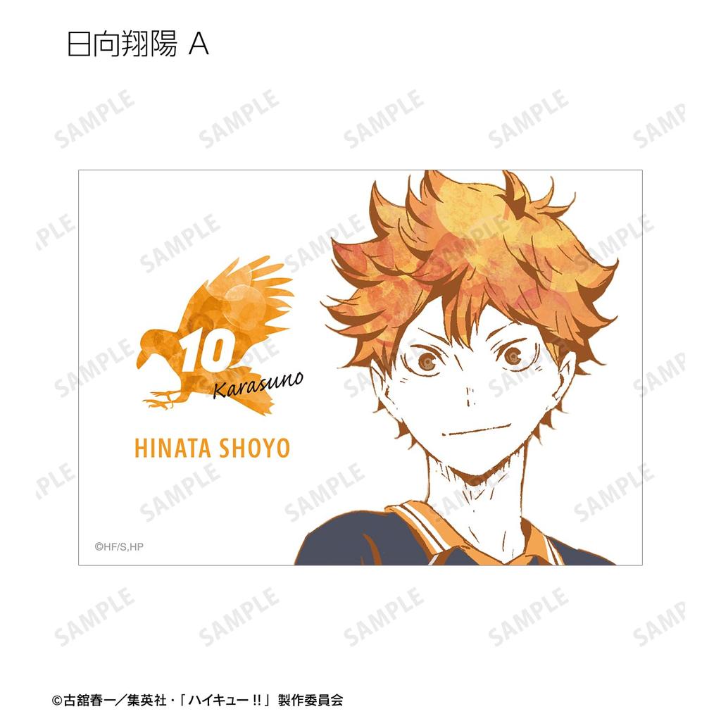 Armabianca Haikyu!! Trading Ani Art 1st Edition Bromide ver.A 12.7 x 8.9cm Paper Box of 18