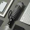 Nanqiao 10-Rib LED Reflective Car Umbrella