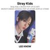 Stray Kids X SKZOO POP-UP & CAFE SKZOO'S MAGIC SCHOOL POP-UP STORE ACRYLIC STAND Official Photocard
