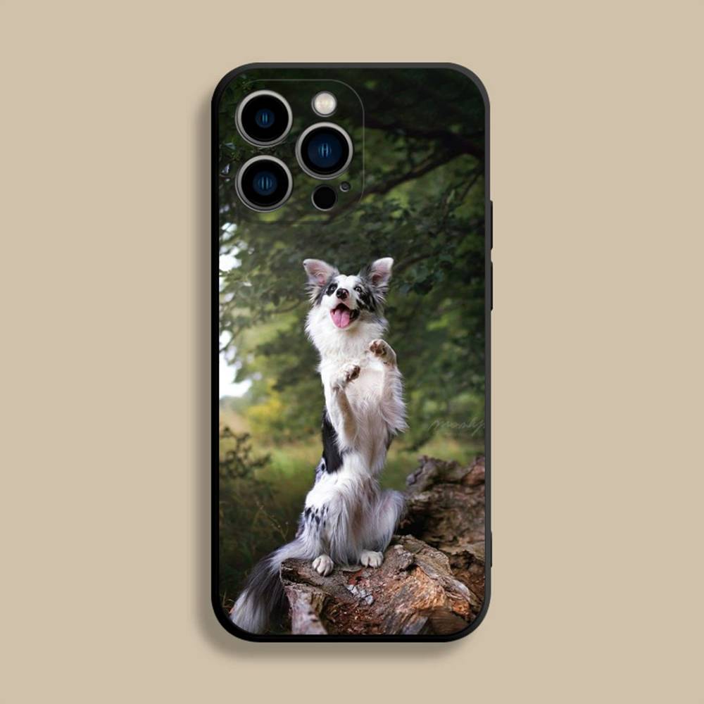 Border Collie Dog Phone Case For iPhone 17,16,15,14,13,12,Pro,Max,Plus,E,SE4,Air,Mini Black Soft Cover