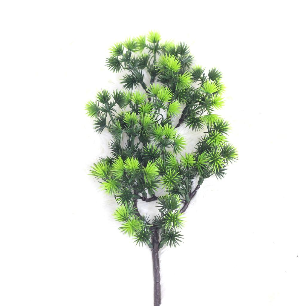 Simulation Of A Single Beauty Pine Branch Fruit Cypress Branch Pine Needle Tree Branch Wukesong Project Matching Plant List