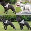 Bestseller Reflective Dog Harness Vest with Leash, Durable and Comfortable Collar Harness Vest Pet Supplies