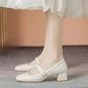 Mary Jane Shoes Retro Spring and Autumn New Fairy Gentle Thick Heels Retro Square Head Versatile High Heel Single Shoes