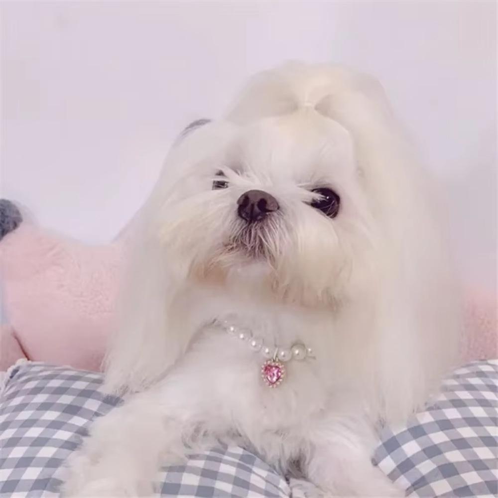 Multi-function Dog Princess Necklace Pet Supplies Cat Necklace Cute Love Pendant