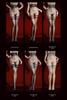 Emotional Lace Ultra-Thin Shine Black Stockings for Women