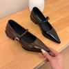 Fashion 2025 New Designer Vintage Pointed Toe Women Mary Jane Shoes Fashion Shallow Buckle Shoes Ladies Elegant Dress Thick Heel Shoes
