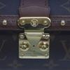 LOUIS VUITTON M57835 Monogram Papillon Trunk Shoulder bag BrownUsed