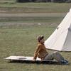 Naturehike Outdoor faltbares Campingbett Matratze