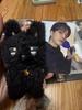 [USED] ATEEZ Anime T-Shirt, Mysterious Mini, "YooYoo